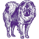 A purple drawing of a chihuahua, inspired by Best Dog in America.
