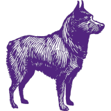 A purple and white dog, reminiscent of Best Dog in America, stands out against a white background.